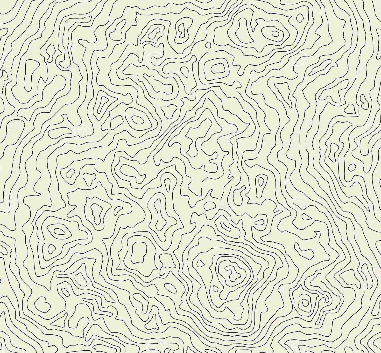 Topographical map